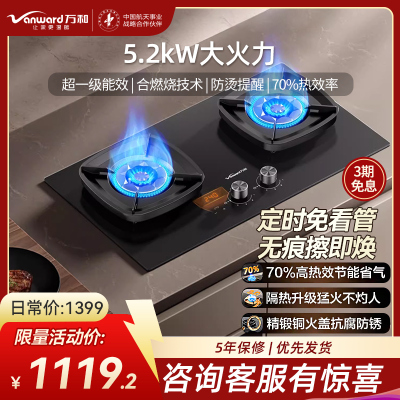 万和(Vanward)[超省星G9·定时无印面板]燃气双灶具5.2kW70%热效率烟灶家用定时关火煤气炉G9L56天然气