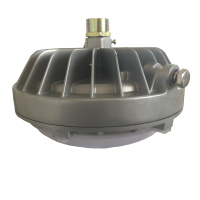 华荣(WAROM)RLEEXL601-XL36(GW) 36W、AC220V、5000K、防爆固态照明灯 灰色