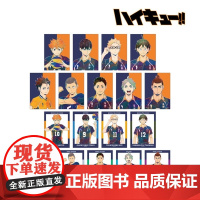 书正版日谷]排球少年 水彩相卡盲盒第4弹(盲抽单包)