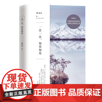 一念一念,如是如是 林清玄著 林清玄散文作品集 林清玄散文精选