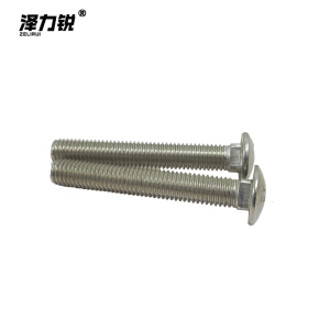泽力锐 半圆头方颈螺栓 10x70 个