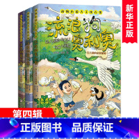 [第四辑]流浪狗奥利奥10-12 [正版]书店任选流浪狗奥利奥全套12册来自星星的守护舌尖上的二重唱黑夜骑手的眼睛沈石溪