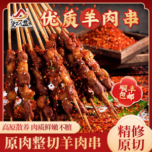 货出六盘 宁夏滩羊 羊肉串4斤
