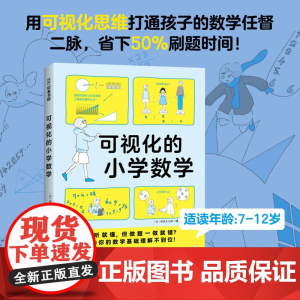 可视化的小学数学 桥爪大三郎 著 家教
