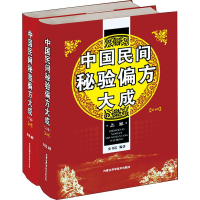 音像中国民间秘验偏方大成(2册)史书达