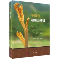 音像中国的湖南山核桃樊卫国,龙令炉,龙登楷著