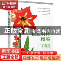 正版 超人气!花艺素材图鉴 唐秋子,胡晓娃 江苏凤凰美术出版社 97