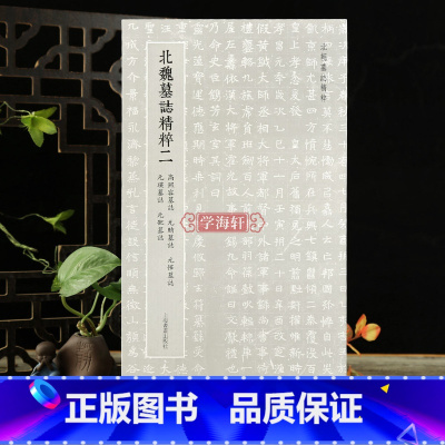 北魏墓志精粹二 [正版]学海轩 北魏墓誌二 高照容墓誌元賄墓誌元懌墓誌元瑛墓誌元巶墓誌 魏碑楷书临摹名家毛笔字帖 北朝墓