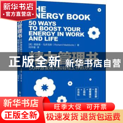 正版 精力管理书(50种激发精力和轻松工作的方法) (英)理查德·马