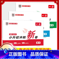 6年级 语文+数学+英语 小升初冲刺新卷 小学通用 [正版]小学期末冲刺新卷语文数学一年级二年级三年级上册下册四五六年级