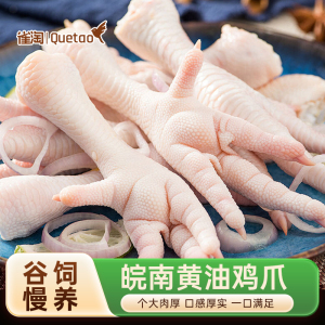 雀淘 冷冻鸡爪500g/袋 3袋装 生鲜食材个大肉厚筋道有嚼劲适合卤制泡椒红烧家庭烹饪优选