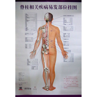 [M]脊柱相关疾病易发部位挂图-9787513224420