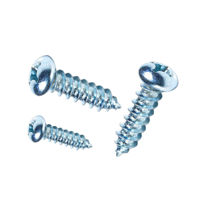 志浪 镀锌半圆头自攻钉5*20 个