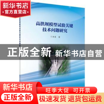 正版 高拱坝模型试验关键技术问题研究 丁泽霖著 科学出版社 9787
