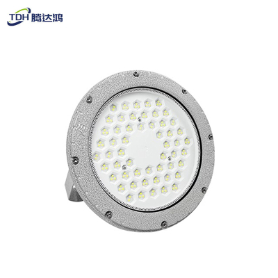 腾达鸿-LED圆形防爆灯 300W /个