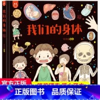 我们的身体 洋洋兔 [正版]我们的节日 画给孩子的中国传统节日中国民俗文化书籍民俗故事绘本传统 儿童成语故事绘本3-4-