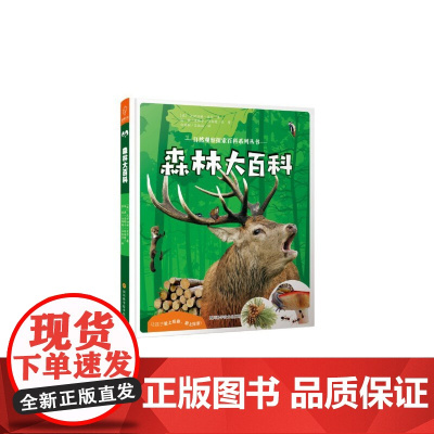 森林大百科——自然观察探索百科系列丛书