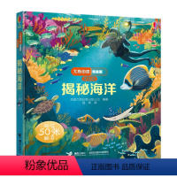 尤斯伯恩揭秘低幼版 揭秘海洋 [正版]尤斯伯恩揭秘系列看里面揭秘地球世界儿童地理百科全书全套少幼儿翻翻书精装3d立体书6
