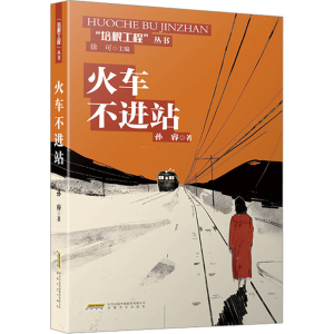 [N]火车不进站-9787539680859