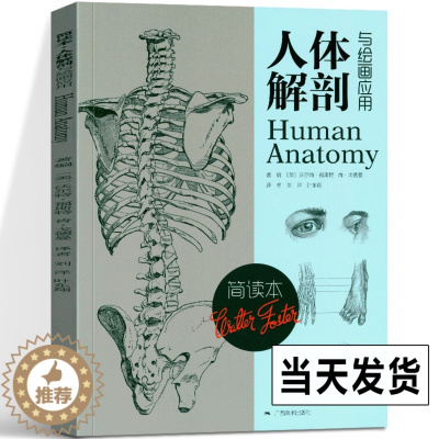 [醉染正版]人体解剖与绘画应用(简读本)素描几何形体大师临摹人物速写/绘画教学美术艺考教程指南实用教学 艺术人体结构美术