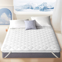 红秀世纺 HXG0023 100*195cm 全棉 床褥 1 件/条(计价单位:条) 白色