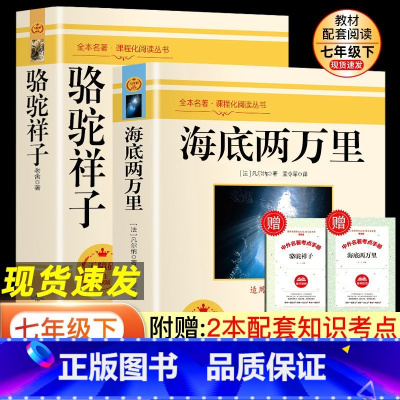 [全4册]白洋淀+猎人笔记+湘行+镜花缘 [正版]海底两万里骆驼祥子人教版七年级下册课外阅读书人民教育出版社朝花夕拾鲁迅