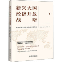 新兴大国经济开放战略(建设开放型世界经济的中国方案)