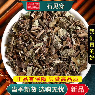 甄选石见穿100克干货紫参石打穿紫丹花活血草正品无硫9260