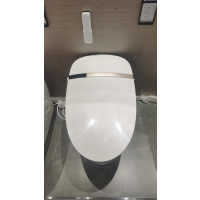 智能马桶ZD7310-S2-CJM305