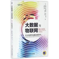正版新书]大数据与物联网(美)罗伯特·斯特科维卡(Robert Stackow