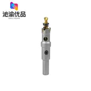 沁渝优品 合金打孔钻头 12mm/个