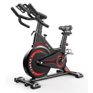 扬子(YANGZI)动感单车YZ-C2有氧运动健身器材