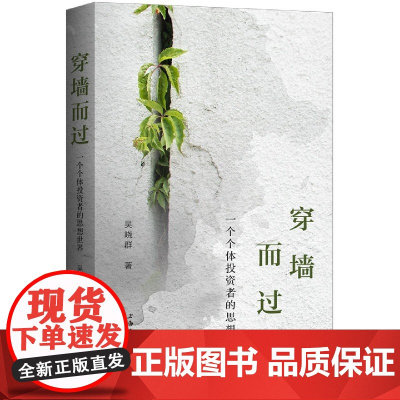 穿墙而过(一个个体投资者的思想世界)