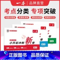 语数英 小学升初中 [正版]一本小升初小升初真题卷2024冲刺新卷人教版语文数学英语全套 小学升初中毕业总复习模拟冲刺卷