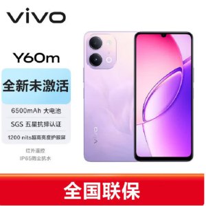 vivo Y60m 鸿运紫 6GB+256GB 6.74英寸 新品5G手机 120Hz高刷护眼屏 6500mAh耐用大电池 IP65防水防尘 vivo学生长辈手机