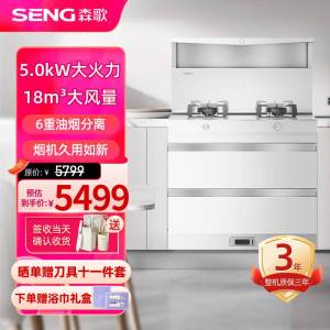 森歌(SENG)集成灶L1白色消毒柜款外观美 大容量 一体式吸烟机燃气灶具 家用抽油烟机燃气灶套装 液化气白色款