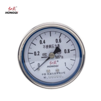 红旗 不锈钢轴向压力表检测款 Y60BFZ (压力值需备注) 块