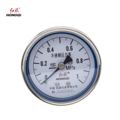红旗 不锈钢轴向压力表检测款 Y60BFZ (压力值需备注) 块
