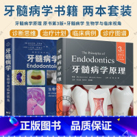 2册 牙髓病学+牙髓病学原理 原书第3版 [正版]牙髓病学原理 原书第3版+牙髓病学 生物学与临床视角 牙髓病学临床病例