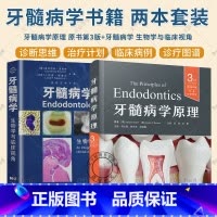 2册 牙髓病学+牙髓病学原理 原书第3版 [正版]牙髓病学原理 原书第3版+牙髓病学 生物学与临床视角 牙髓病学临床病例
