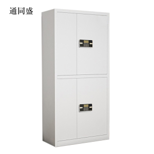 通同盛文件柜电子密码锁财务档案柜保险柜资料柜铁 双节密码锁