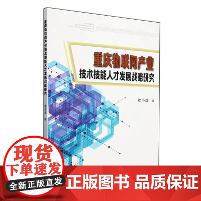 正版 重庆物联网产业技术技能人才发展战略研究 天津大学出版社 9787561878446