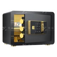 臻远ZY-NW-BXGS-07 全钢实心保险柜办公防盗保险箱 高25cm黑色指纹款