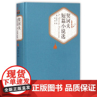 契诃夫短篇小说选(精)/名著名译丛书