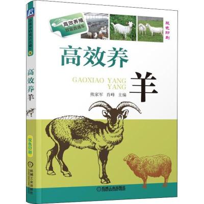 正版新书]高效养羊熊家军9787111454670