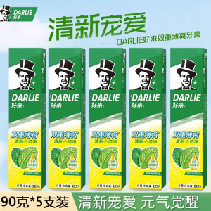 DARLIE好来(原黑人)双重薄荷牙膏家庭旅行装90g*5支 清新口气 防蛀固齿