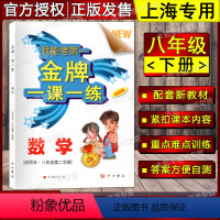 八年级下数学 [正版]金牌一课一练 数学 八年级第二学期/8年级下 上海版数学配套教辅书籍 含答案 中西书局 一课一练课