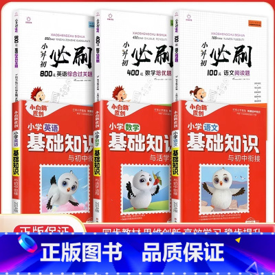 [基础+练习6本]基础知识+小升初必刷题 小学升初中 [正版]万唯小学基础知识与初中衔接大全手册语文数学英语小升初总复习