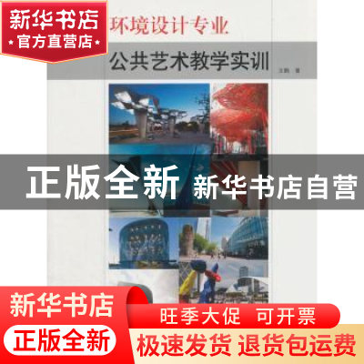 正版 环境设计专业公共艺术教学实训 王鹤著 天津大学出版社 9787