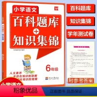 [正版]2024津桥教育小学语文综合知识全掌握百科题库+知识集锦六6年级上册下册语文知识培优竞赛练习题库语文奥赛综合能